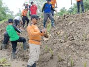 BPBD dan Sukarelawan Tanam Akar Wangi Perkuat Tanggul Sungai