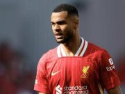 Peluang Ulang Kemenangan tapi Kini di Premier League