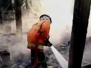 Rumah Peternakan Berisi 12 Ribu Ekor Ayam Musnah Terbakar