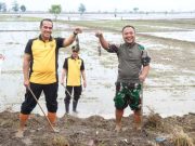 Angggota TNI dan Polres Kudus Dikerahkan untuk Gropyok Tikus