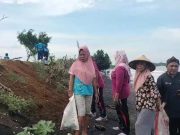 Gandeng Warga, SDN 9 Jambu Gelar Bersih-Bersih dan Penghijauan di Pantai Ngelak
