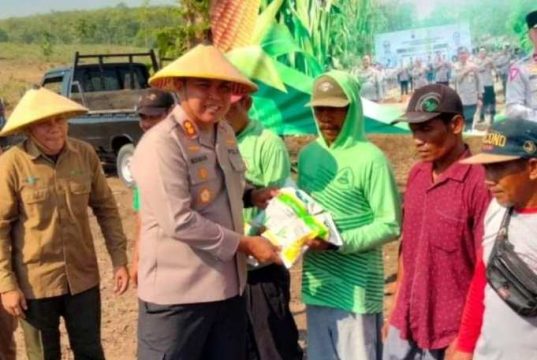 Polres Blora Gandeng Perhutani Jadikan Lahan Kosong Kebun Jagung Dukung Swasembada Pangan