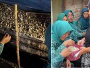Warga Brabowan Blora Budi Daya Jamur Janggel untuk Dukung Perekonomian Keluarga