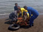 Ditemukan, Kakek Meninggal Terapung di Pantai Alam Indah Kota Tegal