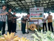 B2SA dan Situmpang Upaya Tingkatkan Ketahanan Pangan Kota Magelang
