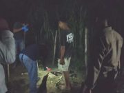 Siswi SMP di Ngaringan Grobogan Tewas Tersengat Jebakan Listrik di Lahan Cabai