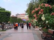 Berkunjung ke Semarang Belum Lengkap Tanpa ke Simpang Lima