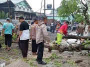 Pasutri Boncengan Kehujanan Tertimpa Pohon di Sumberlawang, Istri Meninggal di Tempat Kejadian