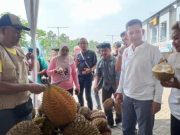 Wali Kota Semarang Dorong Perluasan Sertifikasi Durian Lokal Unggulan