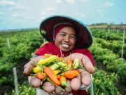 Langkah Nyata BRI Menuju Ekonomi Hijau