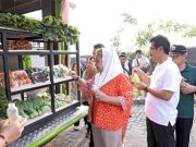 Kota Semarang Luncurkan Petruk Semar, Bantu Petani Pasarkan Hasil Panen