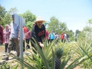 Gandeng Svarnaloka, Pemkot Semarang Kelola Sampah Organik dengan Budi Daya Maggot