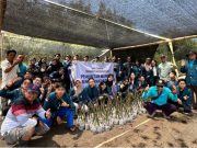 UNDIP Pakai Teknologi Ramah Lingkungan untuk Pembibitan Mangrove