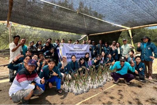 UNDIP Pakai Teknologi Ramah Lingkungan untuk Pembibitan Mangrove