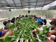 Semarang Agro Expo 2024 di Agrowisata Mijen Kontes Ternak dan Berbagai Lomba