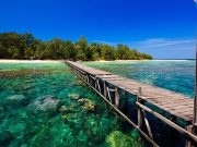Sejauh Mana Politik Keberpihakan Terhadap Laut dan Nelayan dalam Pilkada Jepara?