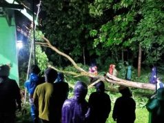 Bencana Hujan Angin Melanda Dua Kampung, Tiga Rumah Warga Rusak