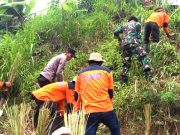 Cegah Bencana Longsor, TNI-Polri Tanam Rumput Akar Wangi