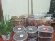 Peringatan Hari Ibu ke 96 PWRI Keling Diramaikan dengan Bazar