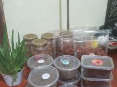 Peringatan Hari Ibu ke 96 PWRI Keling Diramaikan dengan Bazar