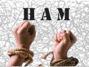 Ekosistem Pembangunan HAM dan Tantangan Kementerian HAM