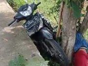Tiga Bocil di Jepara Alami Kecelakaan Akibat Ngebut, Salah Satunya Nyangkut di Pohon
