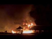 Penangkaran Hiu dan Penginapan di Karimunjawa Ludes Terbakar
