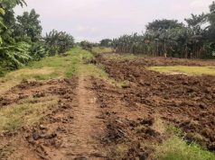 Tanggul Sungai Tuntang di Gubug Longsor, BBWS Sigap Lakukan Perbaikan