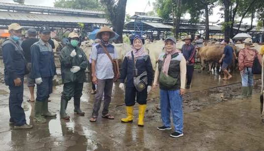 Cegah PMK, Pemkab Kebumen Gencarkan Vaksinasi Hewan