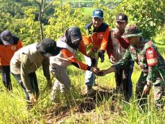 Gerakan Massal Menanam Bibit Pohon Penghijauan