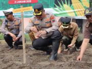 Polres Kebumen Tanam Bibit Jagung di Lahan 1,1 Ha di Petanahan