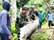 Rumah Warga Rusak Tertimpa Pohon Tumbang