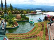 Berjalan-jalan di Atas Hamparan Kebun Teh Goalpara Tea Park