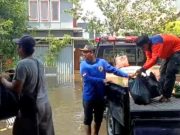 Banjir Masih Melanda Kota Tegal, 1.481 Rumah Terdampak, 189 Warga Mengungsi
