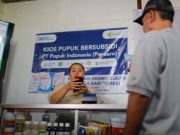 Melanggar Ketentuan HET Pupuk Bisa Terancam Pidana 20 Tahun Penjara