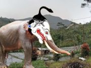Digajahi – Di-gajah-i