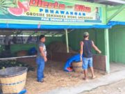 240 Buah Semangka di Lapak Jalan Purwodadi-Semarang Hilang Dicuri, Pelaku Terpantau CCTV