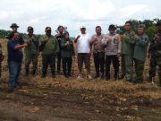 Perhutani KPH Blora Gencar Operasi Gabungan Tertibkan Tanaman Tebu Ilegal