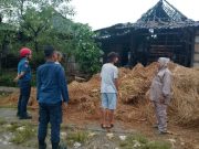 Kandang Sapi Terbakar di Toroh Grobogan, Api Bediang Jadi Penyebab
