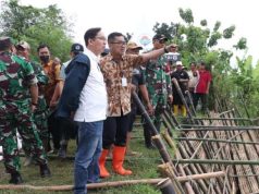Kementan Pastikan Brebes Penyangga Pangan Nasional