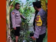 Anak Balita Tewas Tenggelam di Saluran Irigasi Tegowanu Usai Disuapi Ibunya