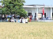 Inovasi Lahan Bio Salin Melawan Rob untuk Masa Depan Pangan dan Energi Kota Semarang