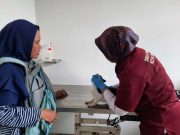 Pemkot Semarang Kini Buka Klinik Hewan, Penuhi Kebutuhan Penghobi