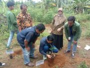 Mahasiswa KKN UPN Veteran dan PT Pamapersada Nusantara Tanam Bibit Pohon di Kampung Proklim Kawesta