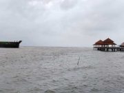 Kapal Tongkang Bahayakan Fasilitas Dermaga dan Kura-Kura Ocean Park Jepara