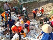 Tanggul Irigasi Jebol, Ratusan Hektare Sawah Terancam Kekeringan