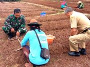 Launching Penguatan Program Pekarangan Pangan Lestari