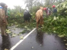 Terjadi 239 Kali Bencana, Berdampak Pada Sebanyak 398 Keluarga