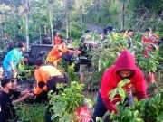 Serangan Kera Diperparah Kasus ‘Pembuangan’ dari Daerah Lain