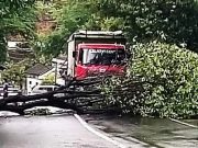 Pohon Tumbang Melintang Jalan, Wonogiri-Ponorogo Macet
